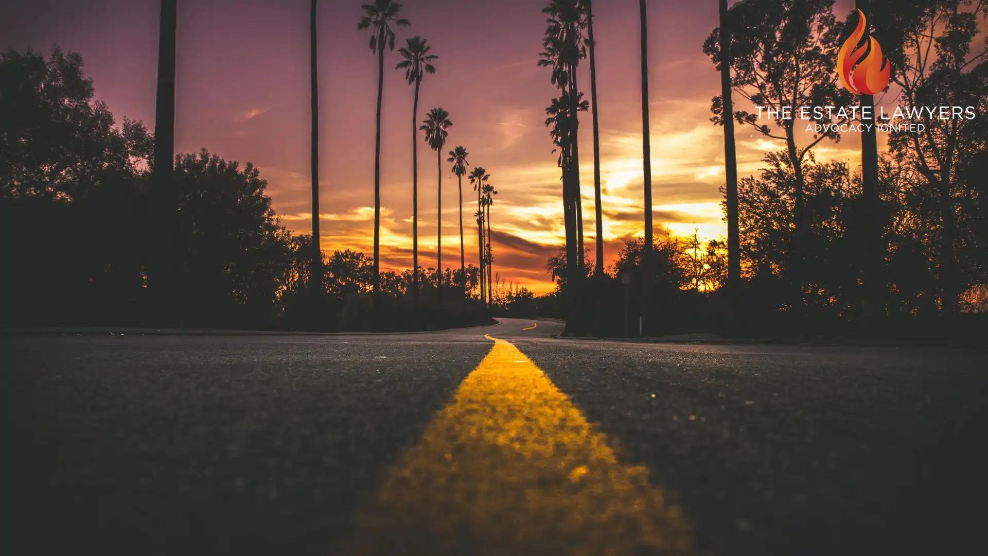 Sunset road lined with tall palm trees