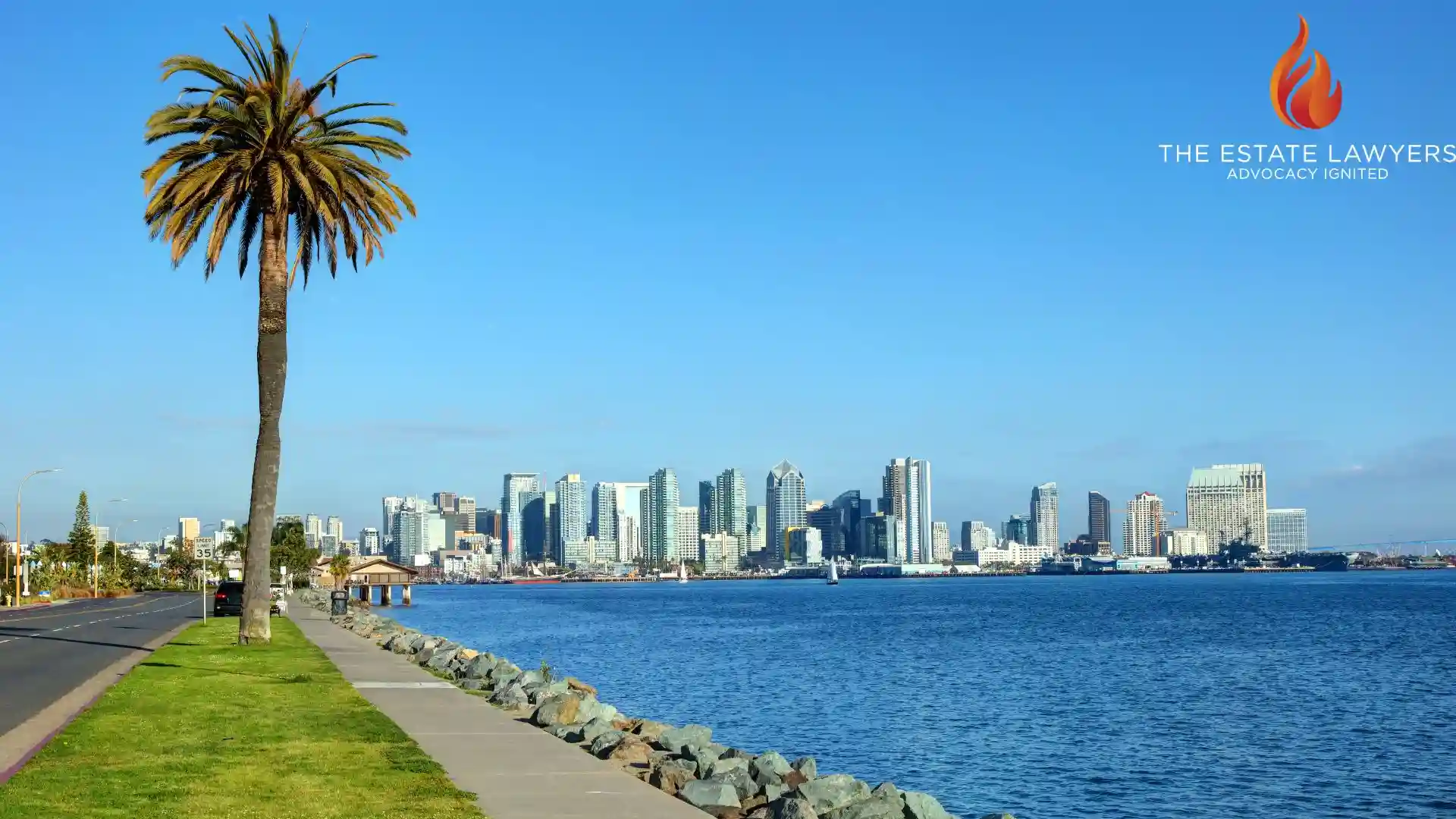 San Diego waterfront city skyline view, where trust petition cases are common