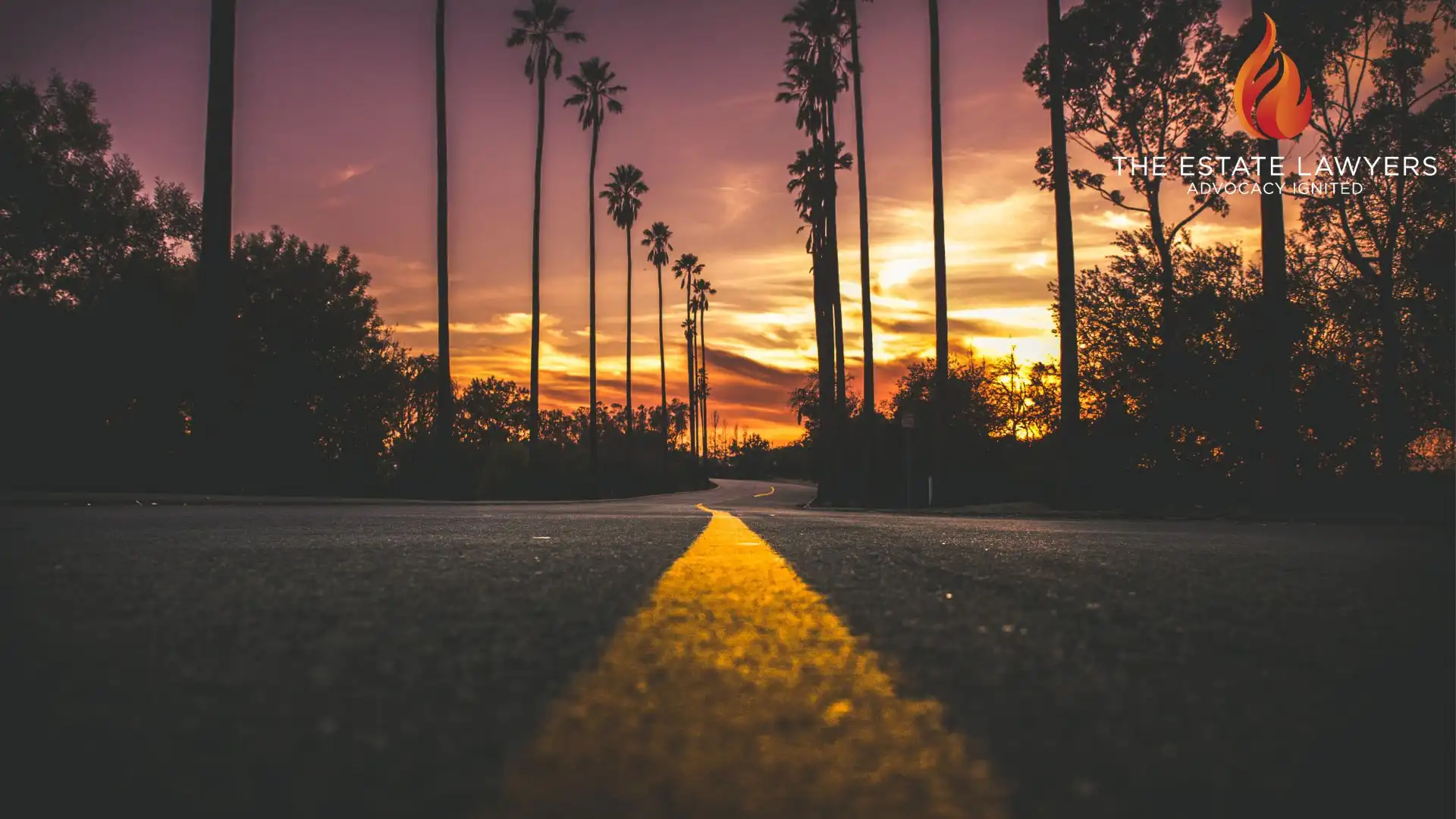 Ground view of a California road during a sunset where palm trees line the street, an area known for financial elder abuse cases.
