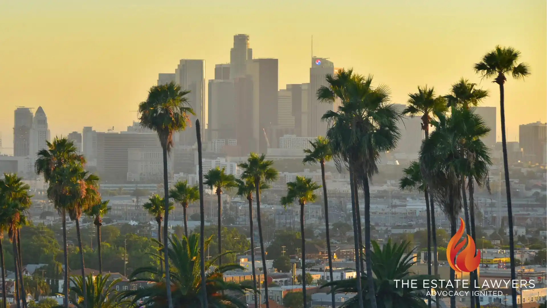 Image of a downtown California skyline with Palm trees in the fair ground, where many families need legal assistance with will contests.