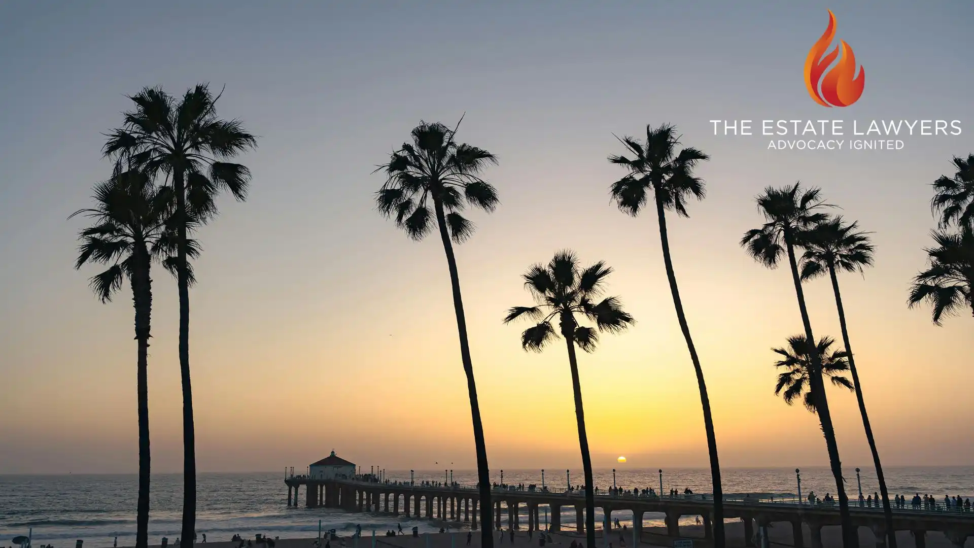 Image of a california dock with palm trees present, where local residents need legal assistance with Trust contest cases.